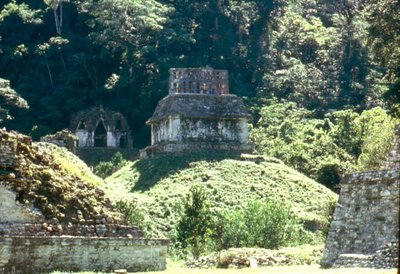 Mayan Temple XXI by Mayan
